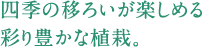 四季の移ろいが楽しめる彩り豊かな植栽。